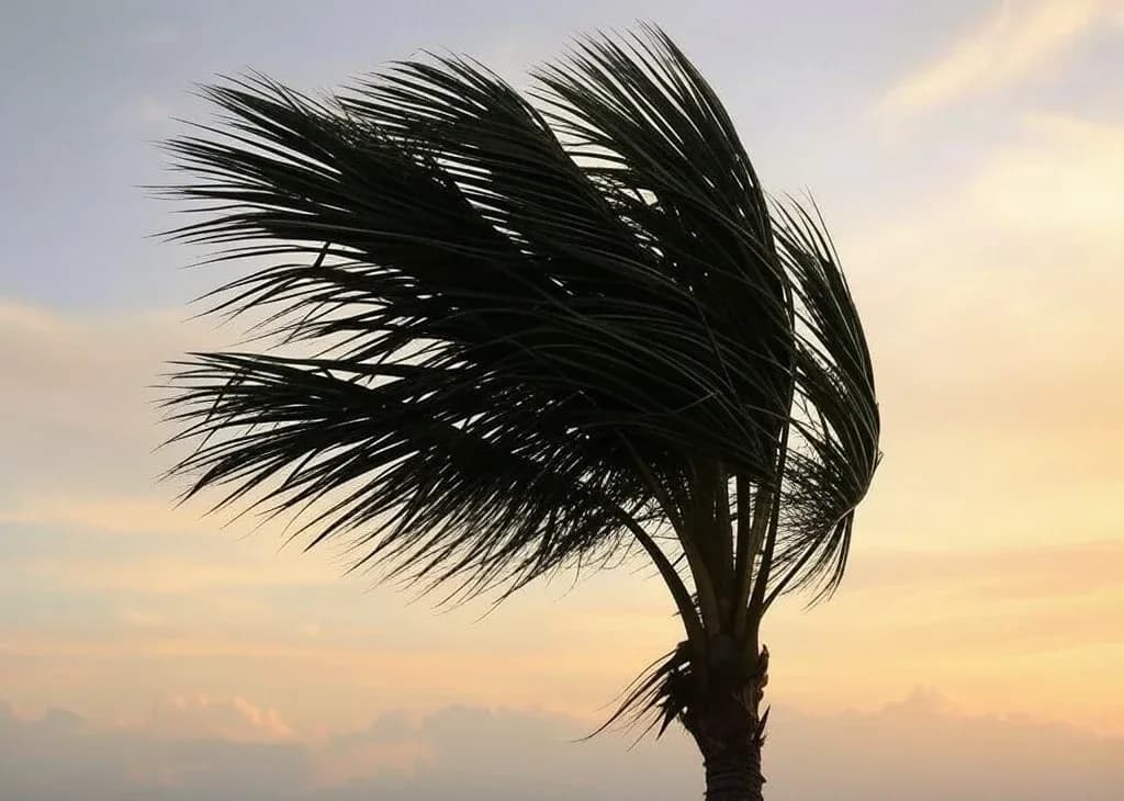 El viento de Levante y el clima soleado llegan a Cádiz
